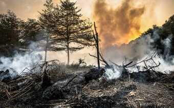 Оценка ущерба после стихийного бедствия в Тольятти: отчет оценщика